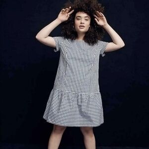 Universal Standard x J. Crew Gingham Drop Waist Dress Size S